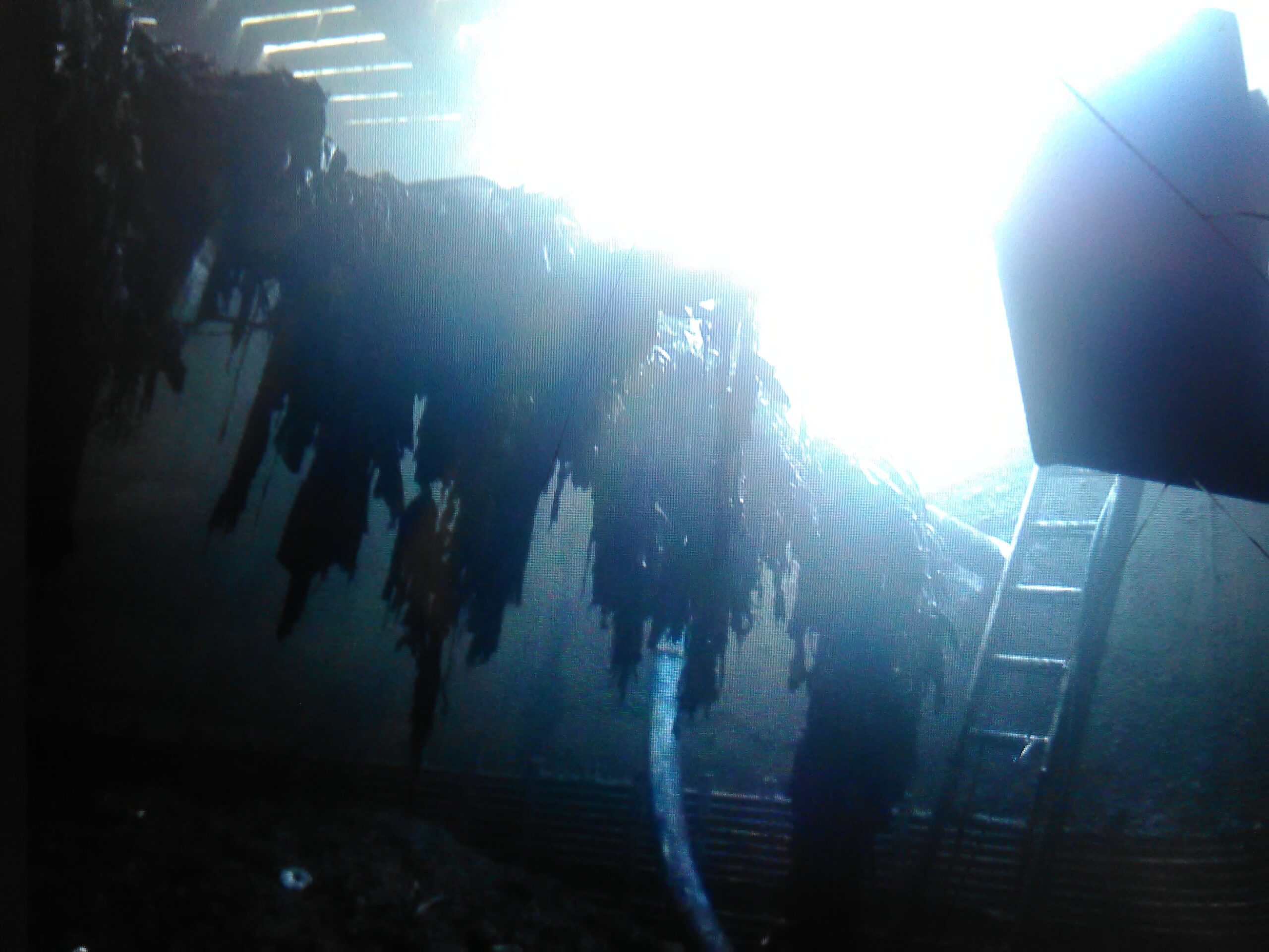 {{brizy_dc_image_alt imageSrc=